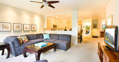 ตกแต่งผนัง-shynebyshera