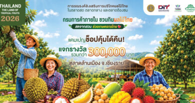 ตลาดล้านเมือง